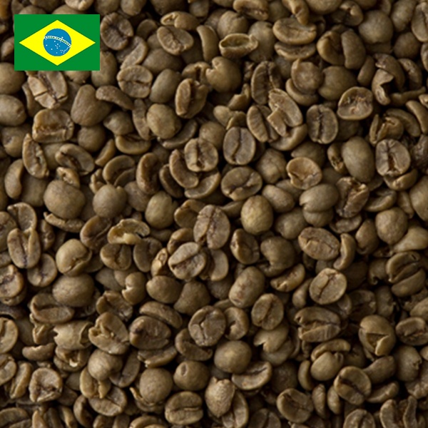 カフェインレス ブラジル（スイス式水抽出法）