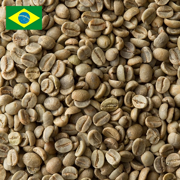 ブラジル No2 S18 コーヒー豆 10kg　生豆 ブラジル No2 17/18（10kg）｜コーヒー流通センター