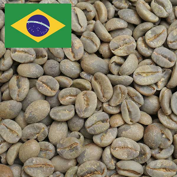 生豆)ブラジル｜コーヒー流通センター