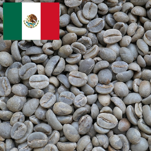 メキシコ SHG クステペック農園 Qグレード｜コーヒー流通センター