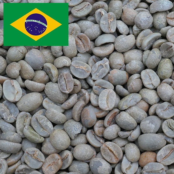 ブラジル ブルボン（BRAZIL BOURBON)　Qグレード